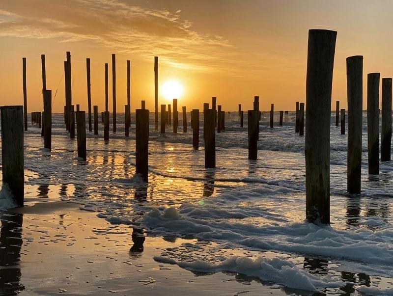 De Kameleon Villa Petten Bagian luar foto